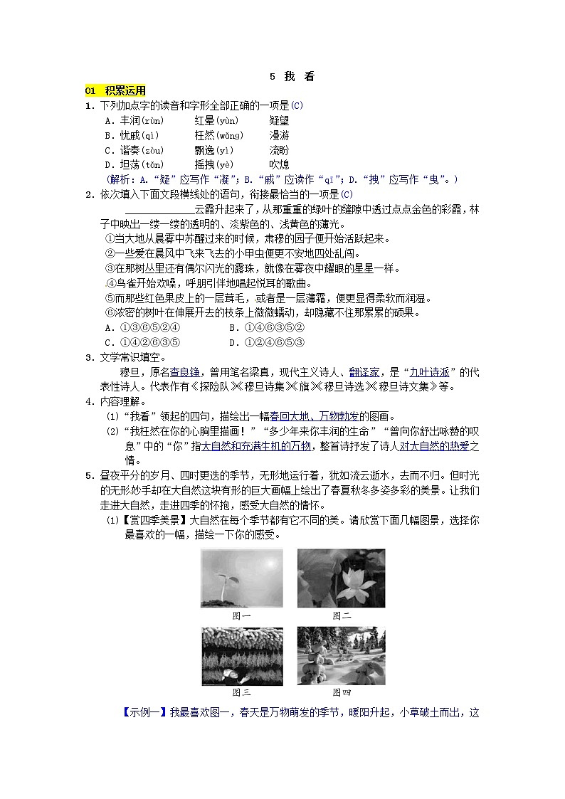 第5课《我看》习题2-九年级语文上册统编版01