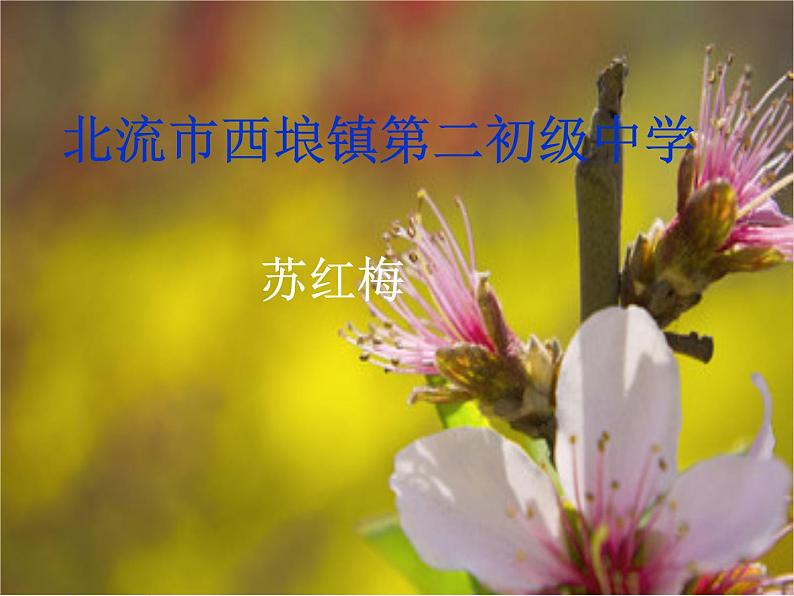 2023年中考语文二轮复习《标点符号》课件第2页