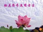 2023年中考语文二轮复习《标点符号》课件