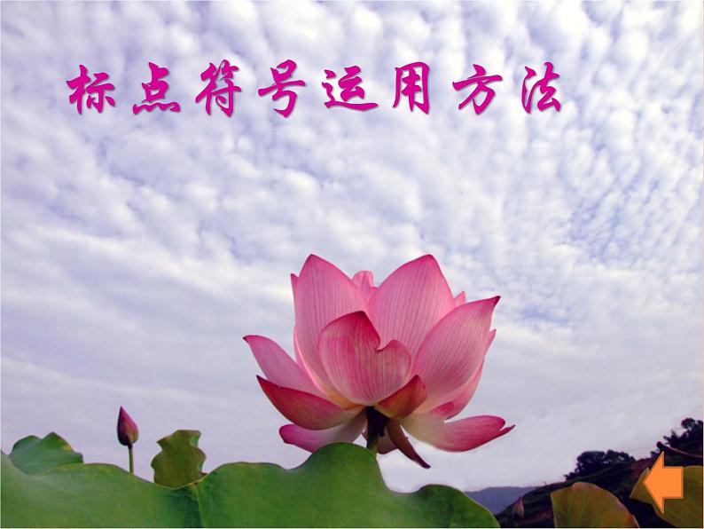 2023年中考语文二轮复习《标点符号》课件第3页