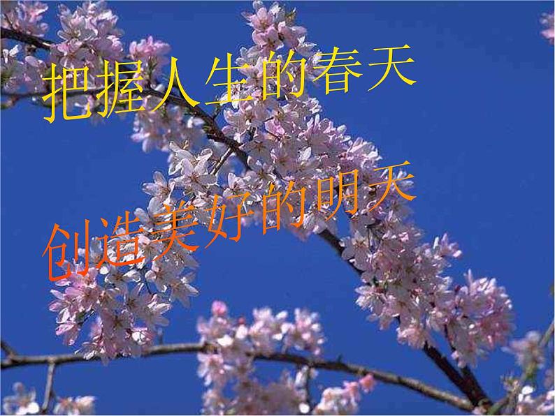 病句的修改   课件  2023年中考语文二轮专题第1页