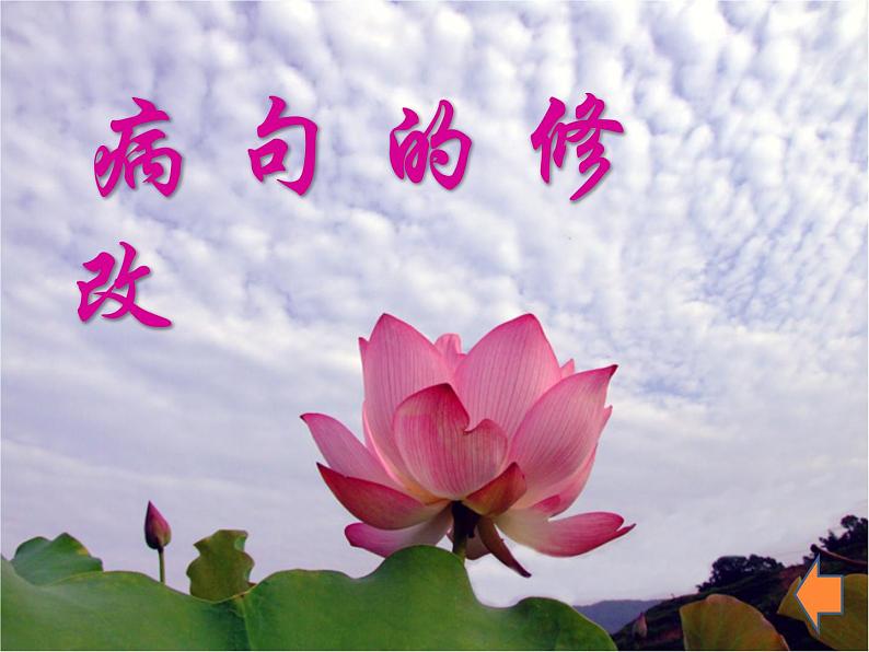 病句的修改   课件  2023年中考语文二轮专题第2页