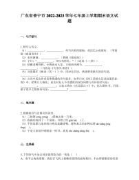 广东省普宁市2022-2023学年七年级上学期期末语文试题