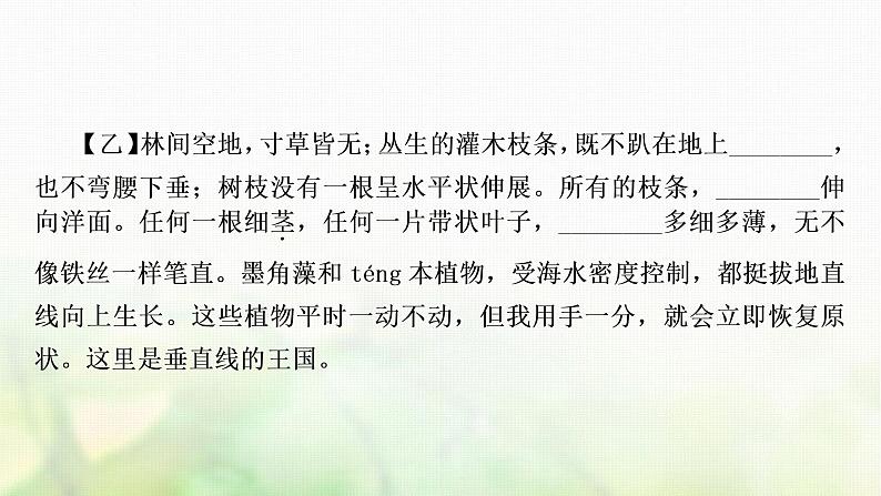 中考语文复习语文积累与运用专题二语段综合教学课件04