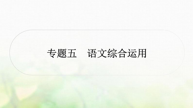 中考语文复习语文积累与运用专题五语文综合运用教学课件01
