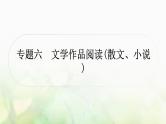 中考语文复习现代文阅读专题六文学作品阅读（散文、小说）教学课件