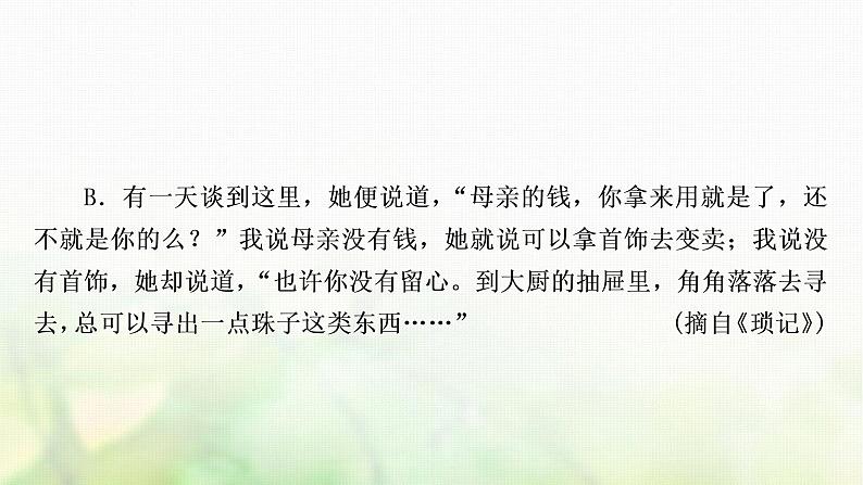 中考语文复习语文积累与运用专题四名著阅读作业课件05