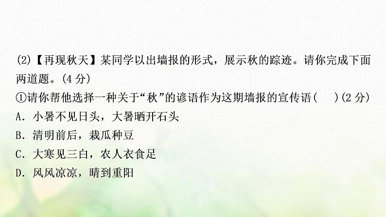 中考语文复习语文积累与运用专题五语文综合运用作业课件06