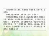 中考语文复习现代文阅读新考法引领训练三文学作品阅读特训课件