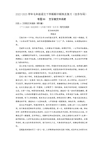 专题08：文学类文本阅读-2022-2023学年七年级语文下学期期中期末专题训练与模拟测试（江苏专用）