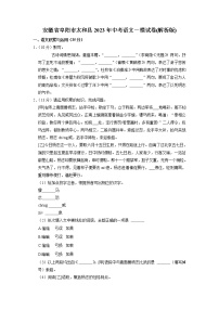 2023年安徽省阜阳市太和县中考一模语文试题