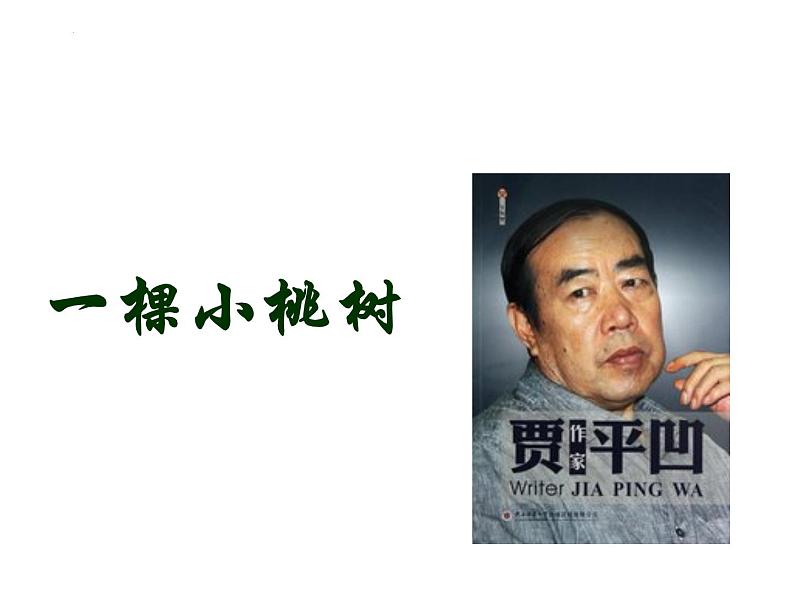 第19课《一棵小桃树》课件2022—2023学年部编版语文七年级下册第3页