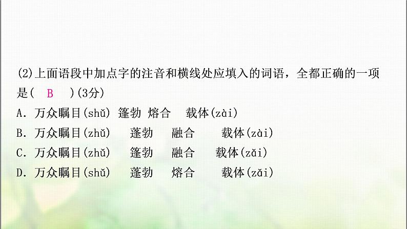 中考语文复习专题一字音、字形教学课件第6页