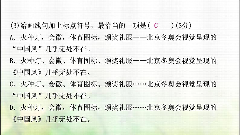 中考语文复习专题一字音、字形教学课件第7页
