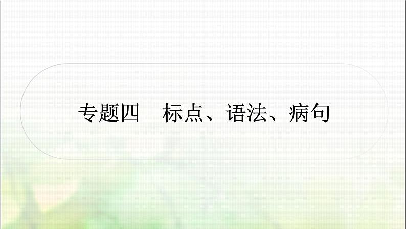 中考语文复习专题四标点、语法、病句教学课件第1页