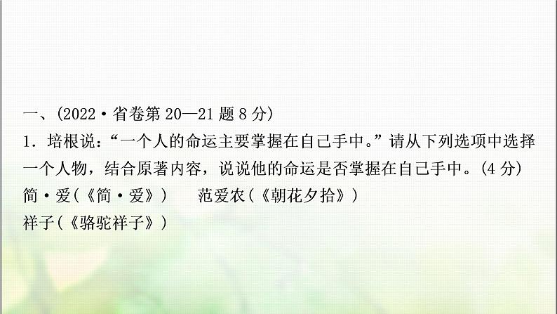 中考语文复习专题十五名著阅读教学课件第3页