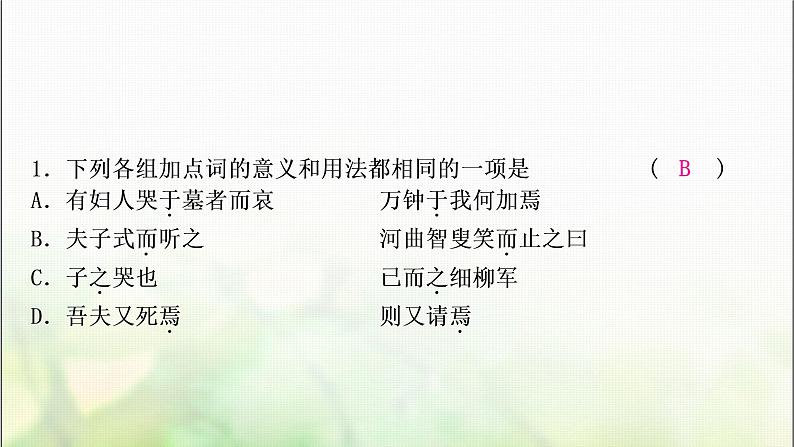 中考语文复习三阶课外文言文阅读迁移练二、14个重点虚词迁移训练教学课件第3页
