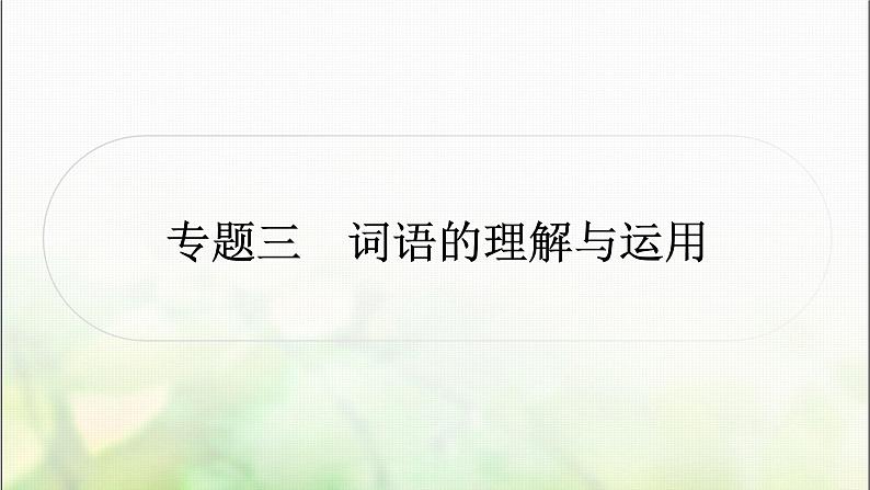 中考语文复习专题三词语的理解与运用作业课件01
