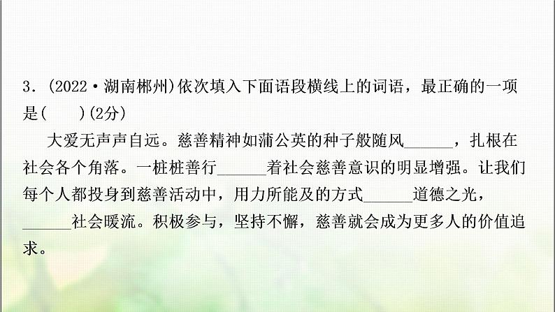 中考语文复习专题三词语的理解与运用作业课件06