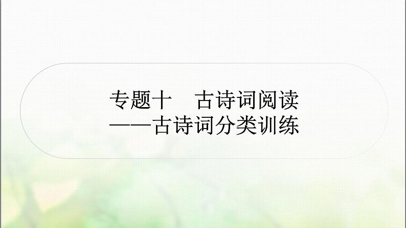 中考语文复习专题十古诗词阅读作业课件01