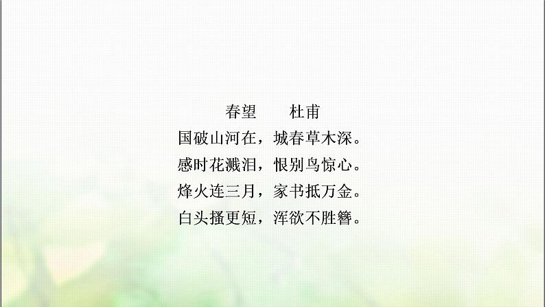中考语文复习专题十古诗词阅读作业课件04