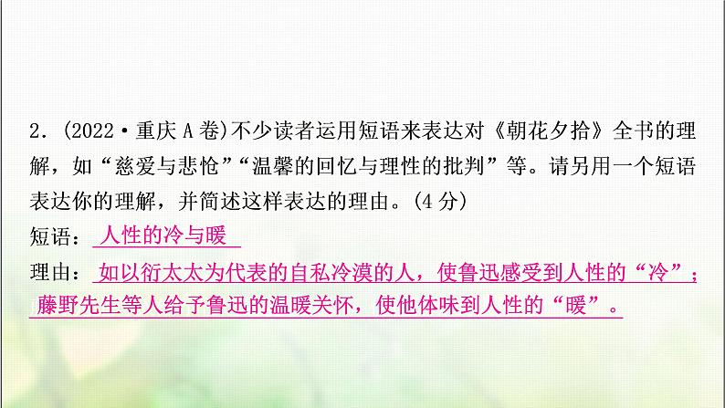 中考语文复习专题十五名著阅读作业课件第5页
