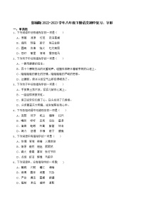 期中专题复习 字形2022-2023学年部编版语文八年级下册