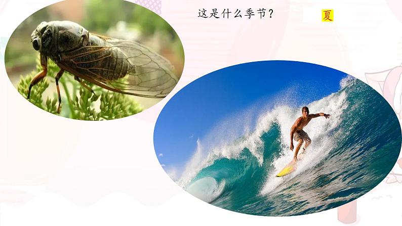 部编版八年级语文下册精品课件  大自然的语言第2页