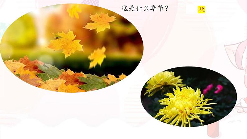 部编版八年级语文下册精品课件  大自然的语言第3页