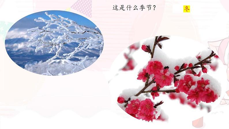 部编版八年级语文下册精品课件  大自然的语言第4页