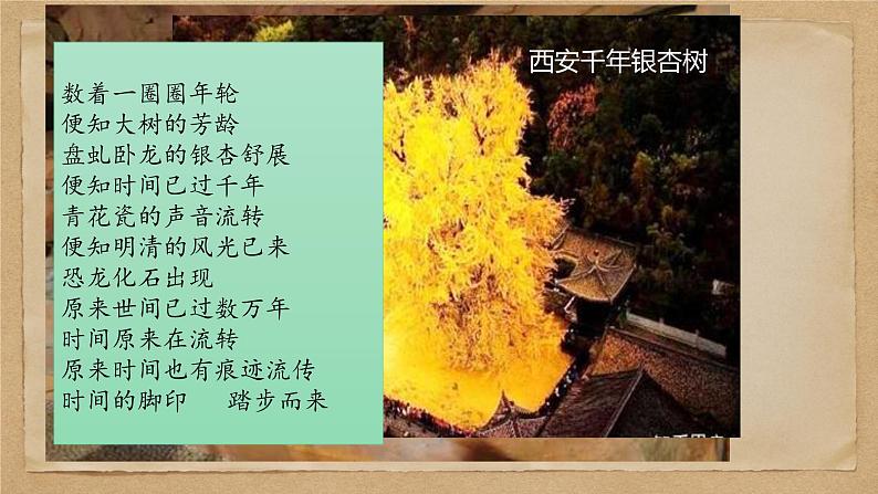 部编版八年级语文下册精品课件 时间的脚印第1页