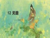 部编版八年级语文下册精品课件《诗经》二首（关雎）