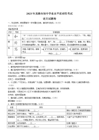 2023年浙江省温州市龙港市中考一模语文试题（含答案）