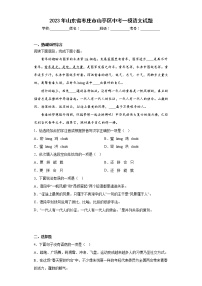 2023年山东省枣庄市山亭区中考一模语文试题（含答案）