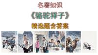 人教部编版七年级下册第三单元名著导读《骆驼祥子》：圈点与批注课堂教学课件ppt