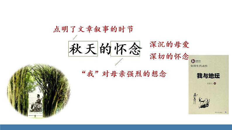 部编版七年级语文上册课件 5 秋天的怀念02