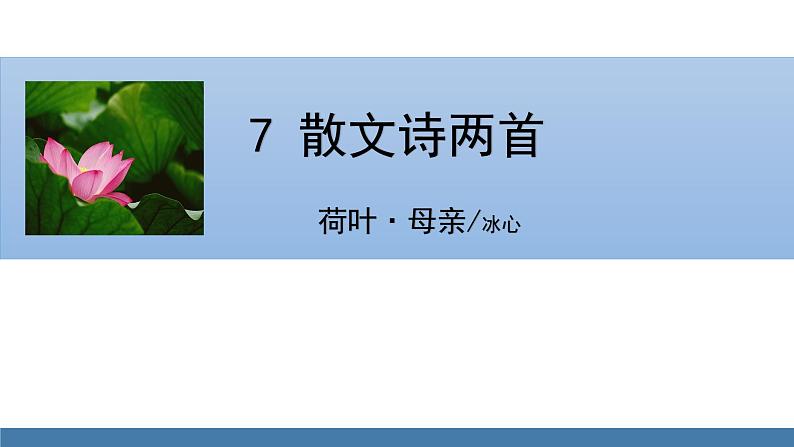 部编版七年级语文上册课件 7  散文诗两首 《荷叶·母亲》01