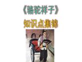 七下语文名著阅读《骆驼祥子》知识点集锦含答案课件PPT