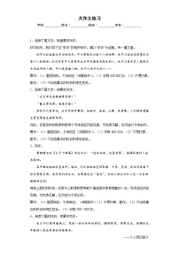 大作文练习-2023年中考语文考前专项练习（浙江杭州）