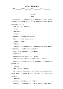 文学类文本阅读练习-2023年中考语文考前专项练习（浙江金华）