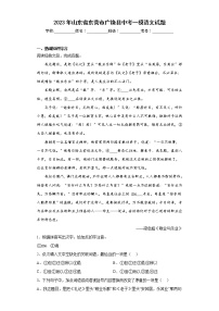 2023年山东省东营市广饶县中考一模语文试题（含答案）
