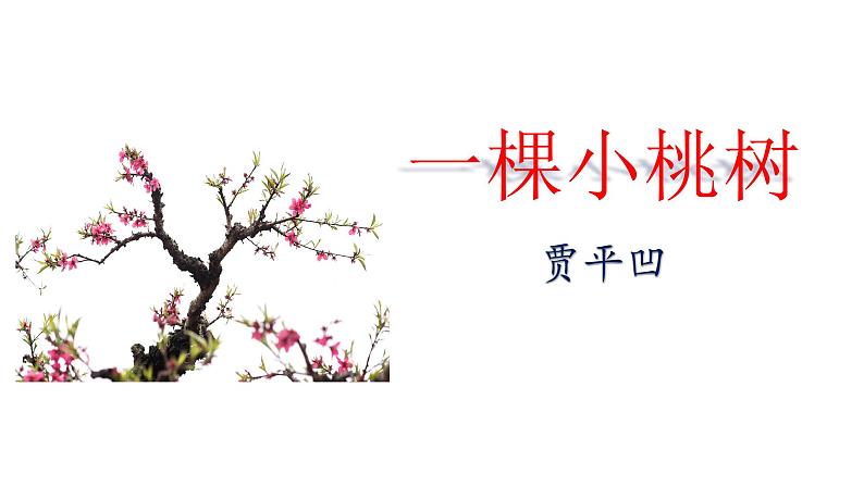 第19课《一棵小桃树》课件PPT第1页