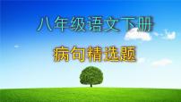 八下语文病句精选题含答案课件PPT