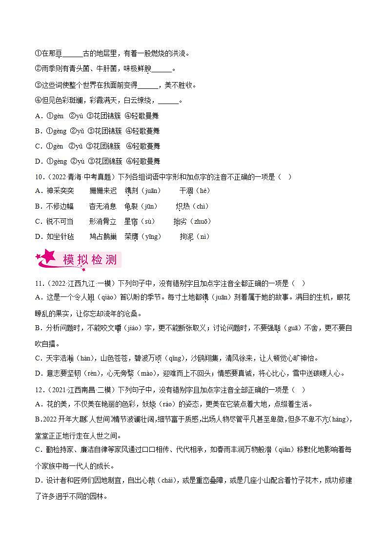 专题01  字音字形【习题精练】-备战2023年中考语文一轮复习考点帮（全国通用）（原卷版）第3页