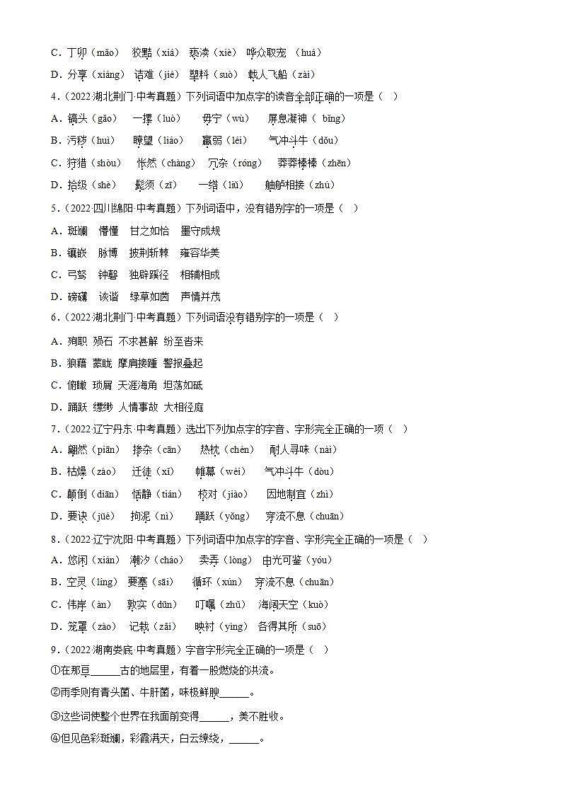 专题01  字音字形【习题精练】-备战2023年中考语文一轮复习考点帮（全国通用）（解析版）第2页