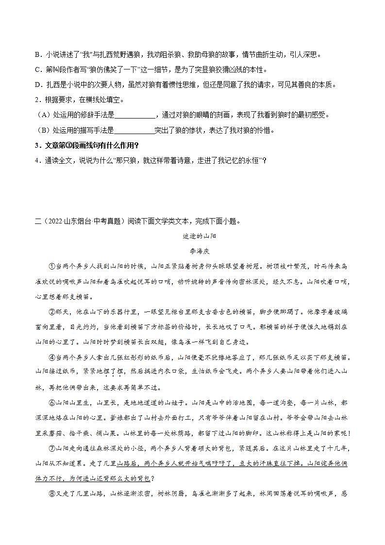 专题14：记叙文阅读之句段的作用【习题精练】-备战2023年中考语文一轮复习考点帮（全国通用） （原卷版）第3页