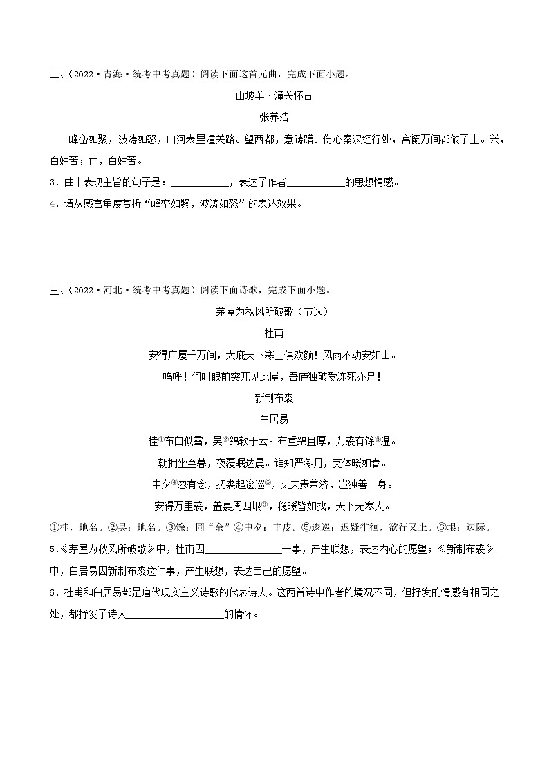 备战2023年中考语文一轮复习课件+习题  专题29：诗歌鉴赏之爱国忧民类 （全国通用）02