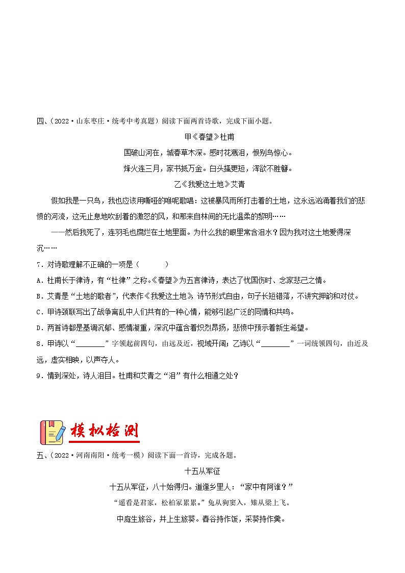 备战2023年中考语文一轮复习课件+习题  专题29：诗歌鉴赏之爱国忧民类 （全国通用）03