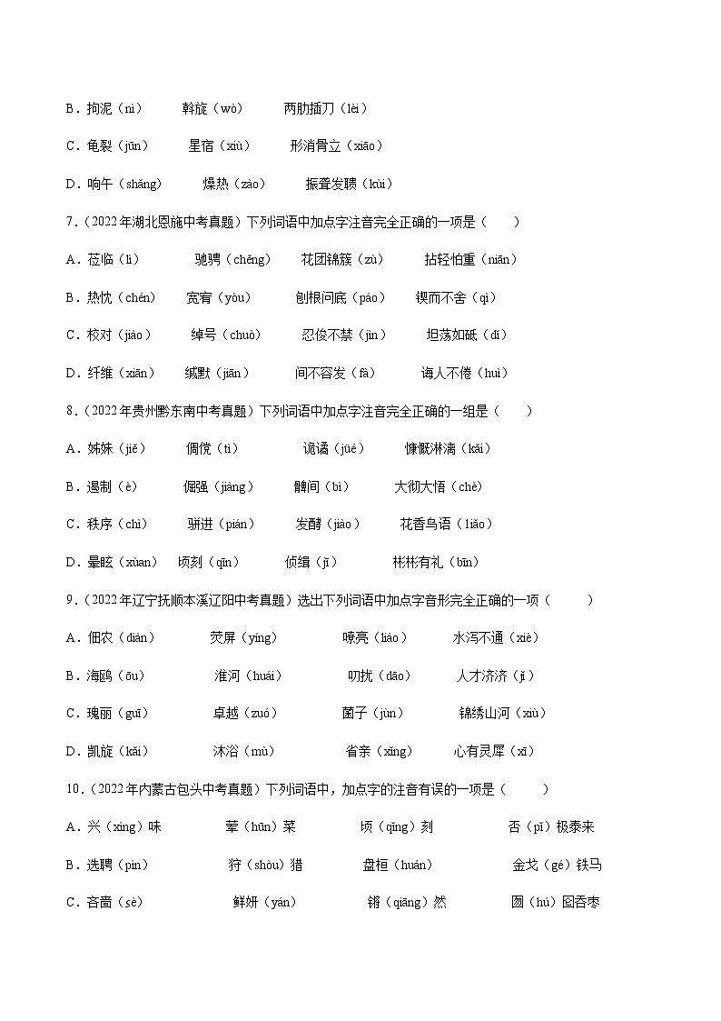 备战2023年中考语文一轮复习通关宝典课件+专题检测  专题01  字音字形03