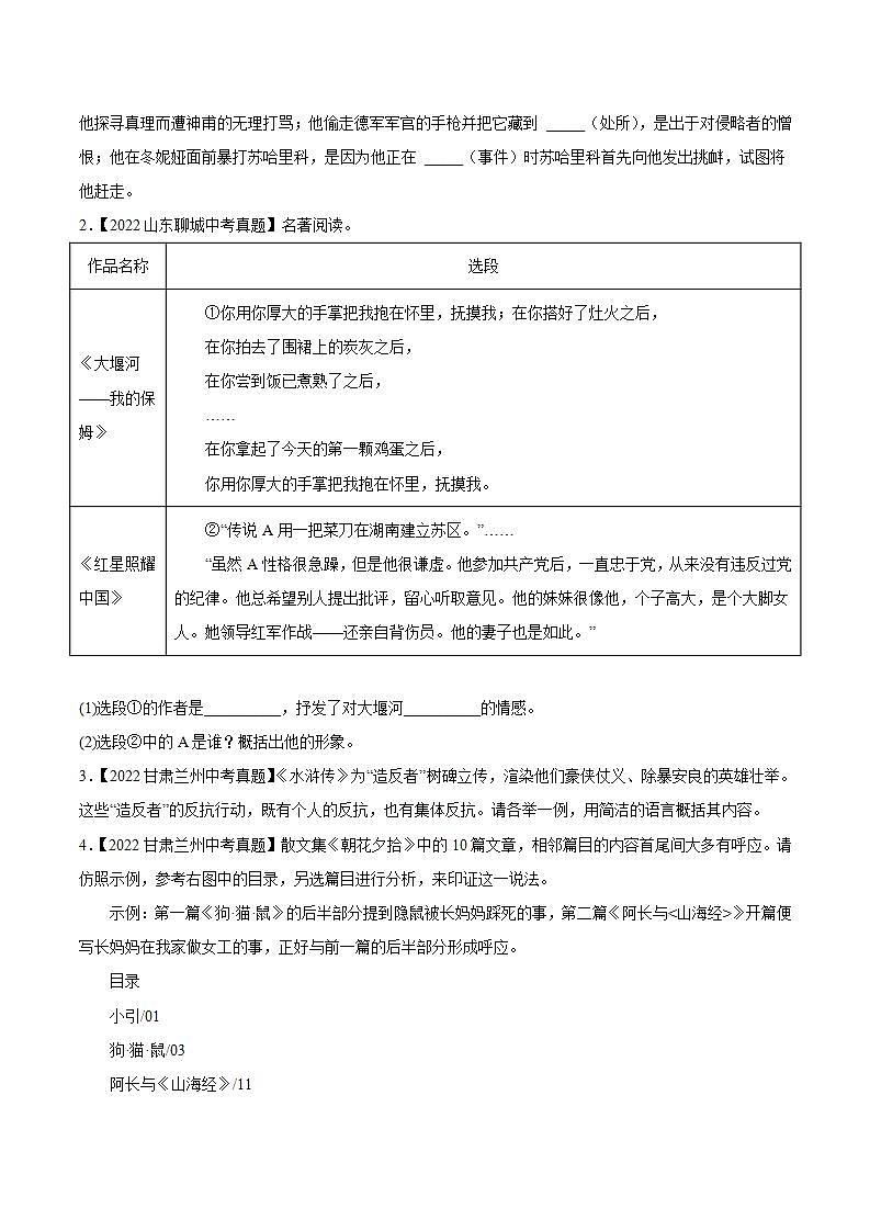 专题06：名著导读【专题检测】-备战2023中考语文一轮复习通关宝典（原卷版）第2页
